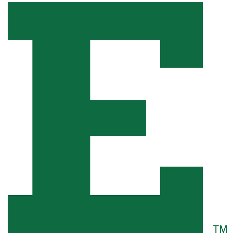 Eastern Michigan Eagles iron ons